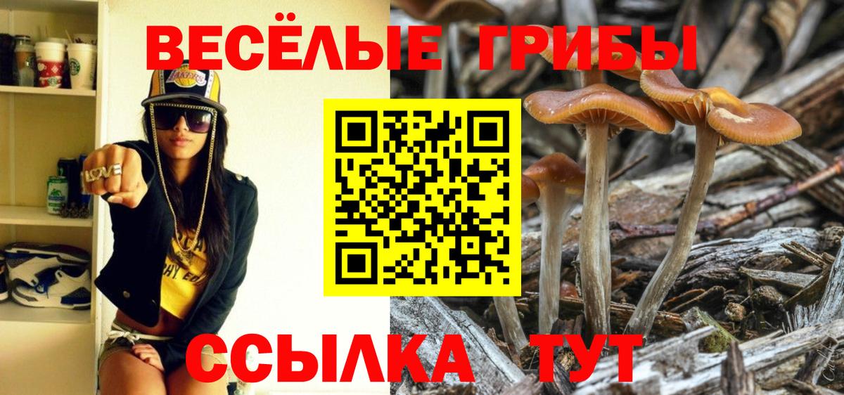 Псилоцибиновые грибы ЛСД  Псилоцибиновые грибы Magic Shrooms  Вход с VPN  Киреевск 