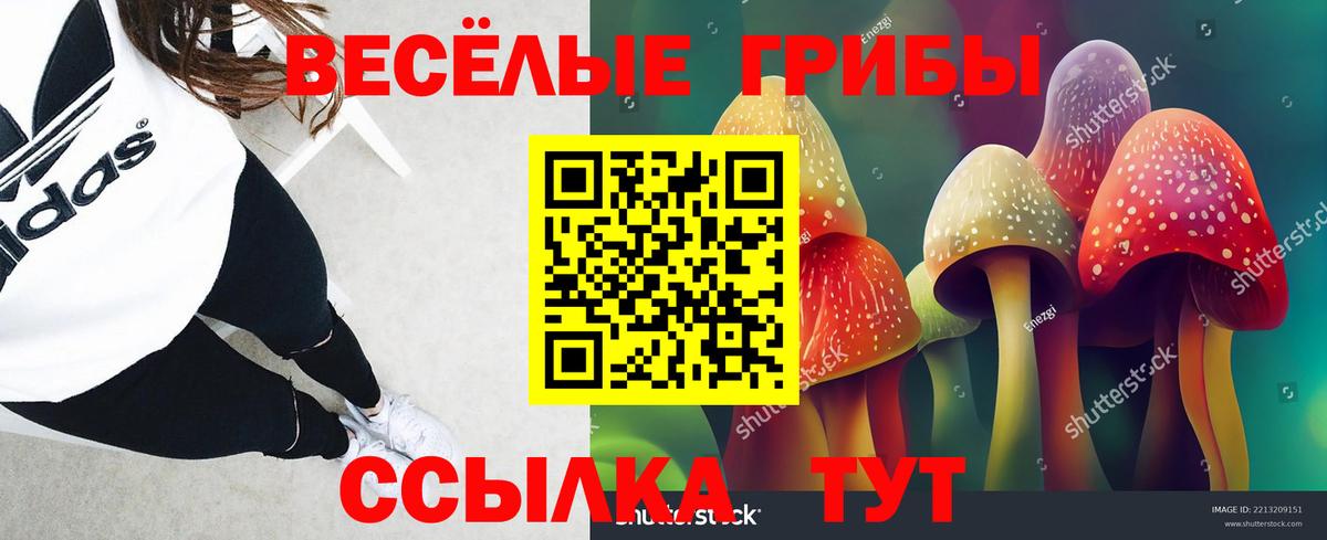 Галлюциногенные грибы Magic Shrooms Киреевск